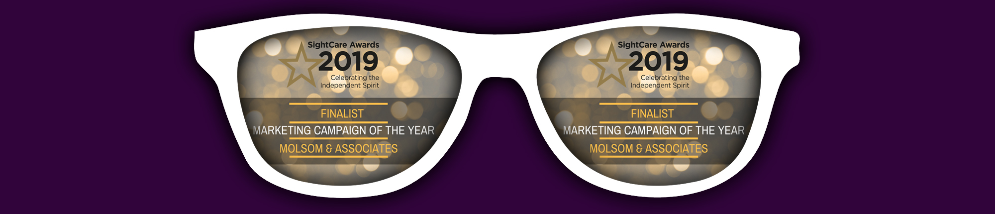 Molsom 2019 sightcare award